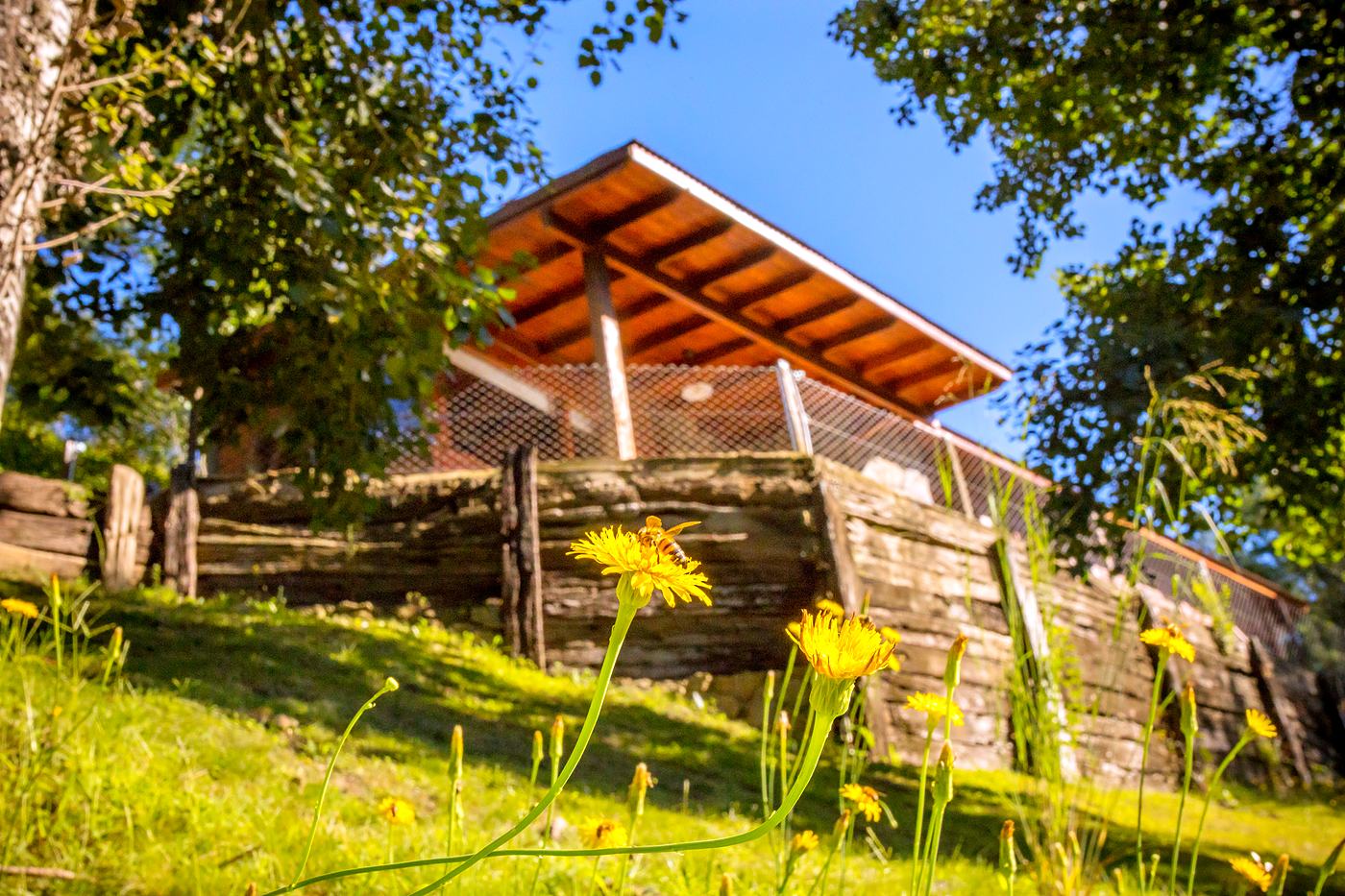 Casa Altos en la loma, entre flores y árboles